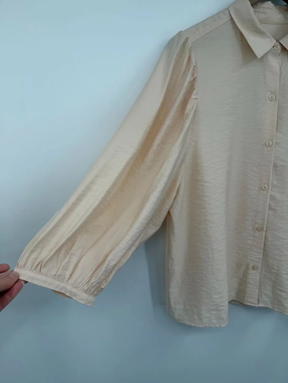 Banana Republic Nude Button Up Blouse Women’s Large Puff Sleeves Collared Silky